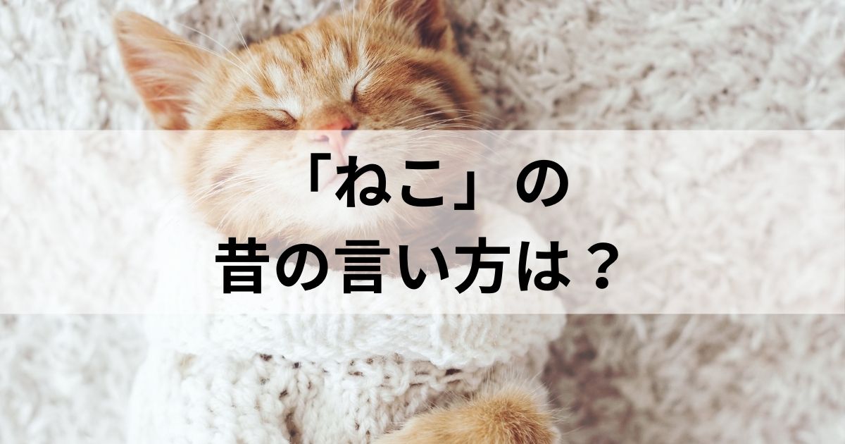 猫の昔の言い方は？4つの説と由来・語源を徹底解説