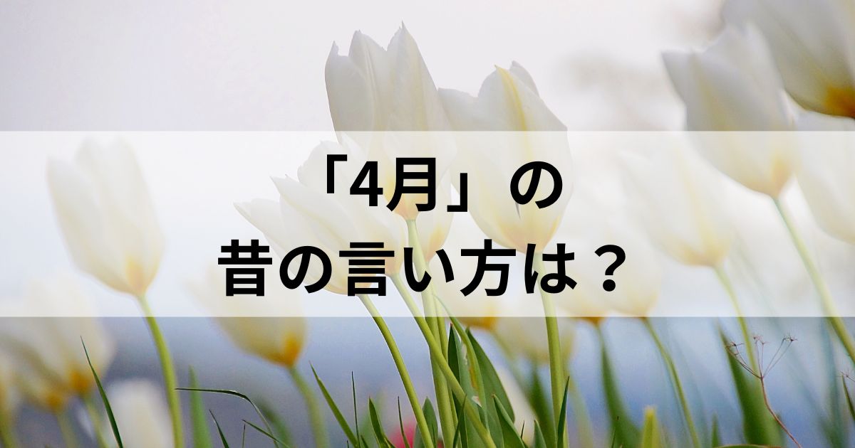 4月の昔の言い方は？和風月名とその他の異名を徹底解説