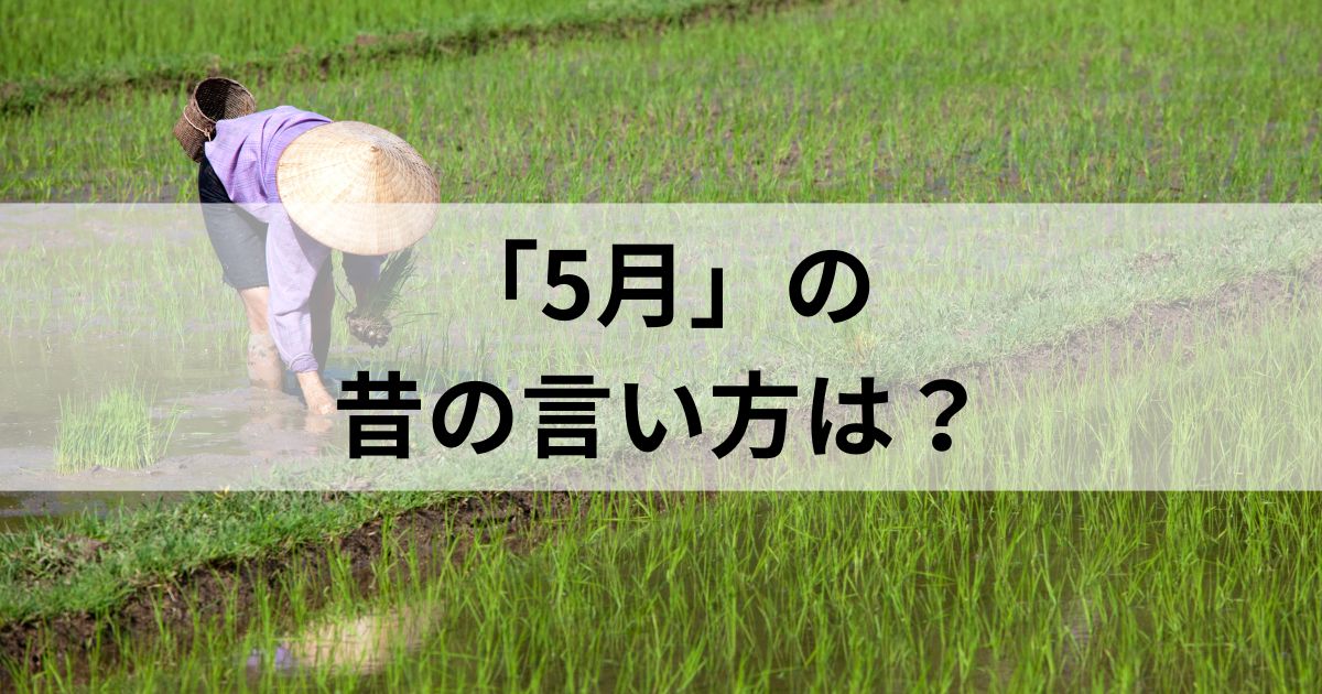 5月の昔の言い方は？和風月名とその他の異名を徹底解説