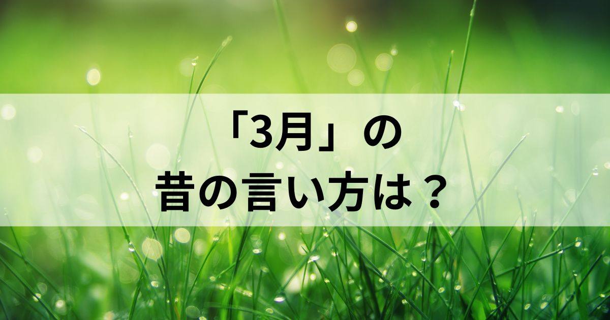 3月の昔の言い方は？和風月名とその他の異名を徹底解説